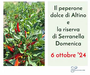 Il peperone di altino